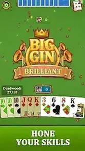 Rummy King screenshot